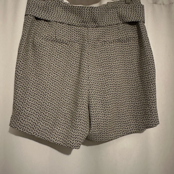H&M polyester dress shorts, size 8. Never worn! - Picture 5 of 5